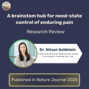 Cognitive Behavioral Therapy (CBT) for Chronic Pain (העתק) (העתק) (העתק) (העתק) (העתק) (העתק) (העתק) (העתק) (העתק) (העתק) (העתק) (העתק) (העתק) (העתק) (העתק) (העתק) (העתק) (העתק)